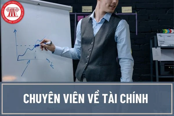 Công việc của chuyên viên tài chính: 4 Nhiệm vụ cốt lõi 2026