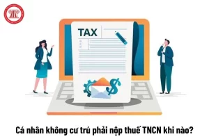 Quyết toán thuế TNCN cho cá nhân không cư trú