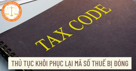 Khôi phục mã số thuế