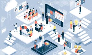 Nên thành lập hộ kinh doanh hay công ty.